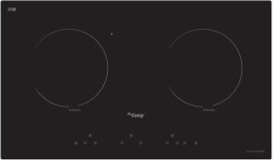 Bếp từ Canzy CZ 600-2GIB