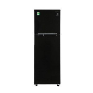Tủ lạnh Samsung Inverter 256 lít RT25M4032BU/SV